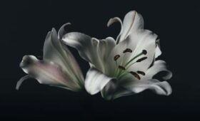 Актер театра и кино Иван Безбородов ушел из жизни в возрасте 39 лет