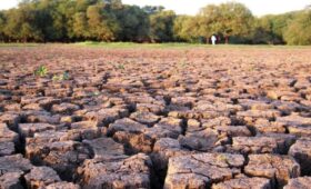 Названо идеальное условие для размножения неуязвимой для лекарств супербактерии