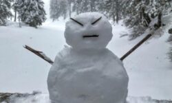 Ученые рассказали, чем отличаются летние инфаркты от зимних